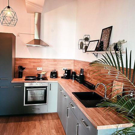 Oasis Appart - Wohnen Im Koenigspark - Elbhang Dresden - Grosse Terrasse - Netflix - Tg Extérieur photo