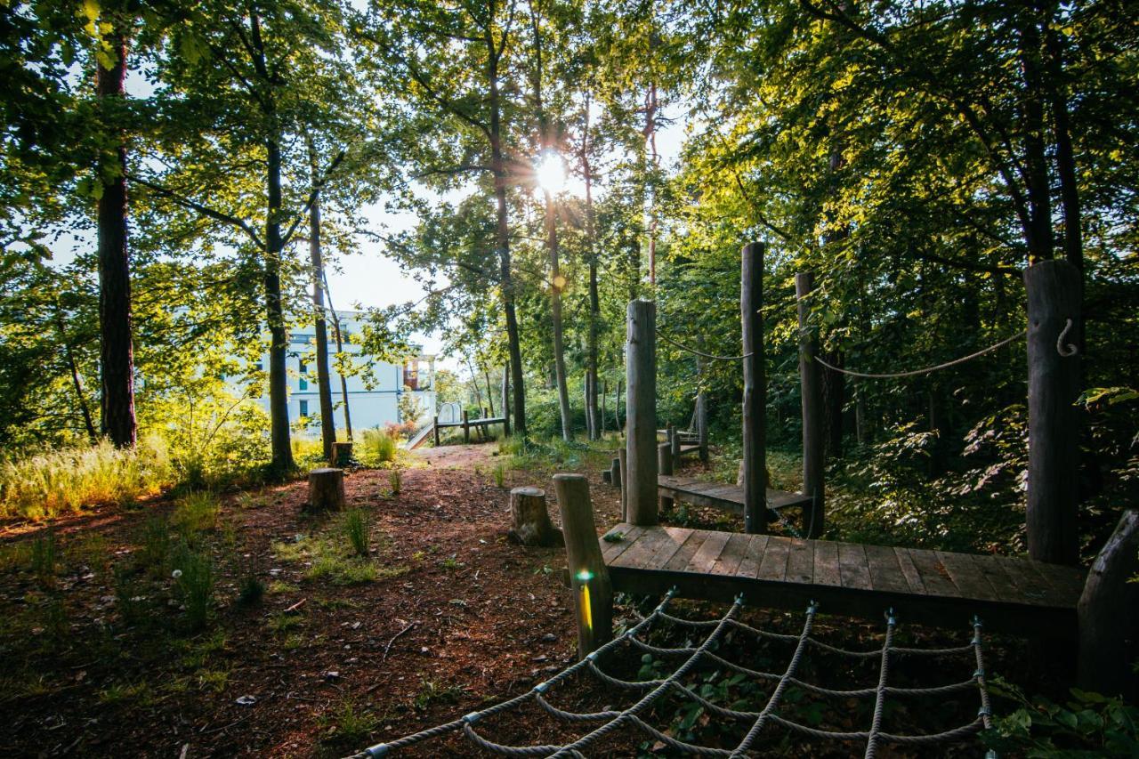 Oasis Appart - Wohnen Im Koenigspark - Elbhang Dresden - Grosse Terrasse - Netflix - Tg Extérieur photo
