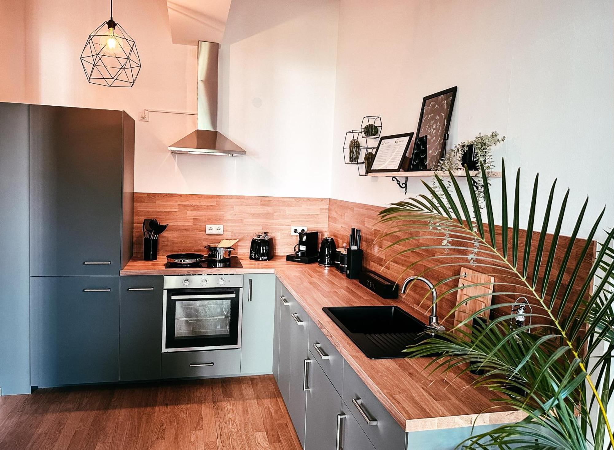 Oasis Appart - Wohnen Im Koenigspark - Elbhang Dresden - Grosse Terrasse - Netflix - Tg Extérieur photo