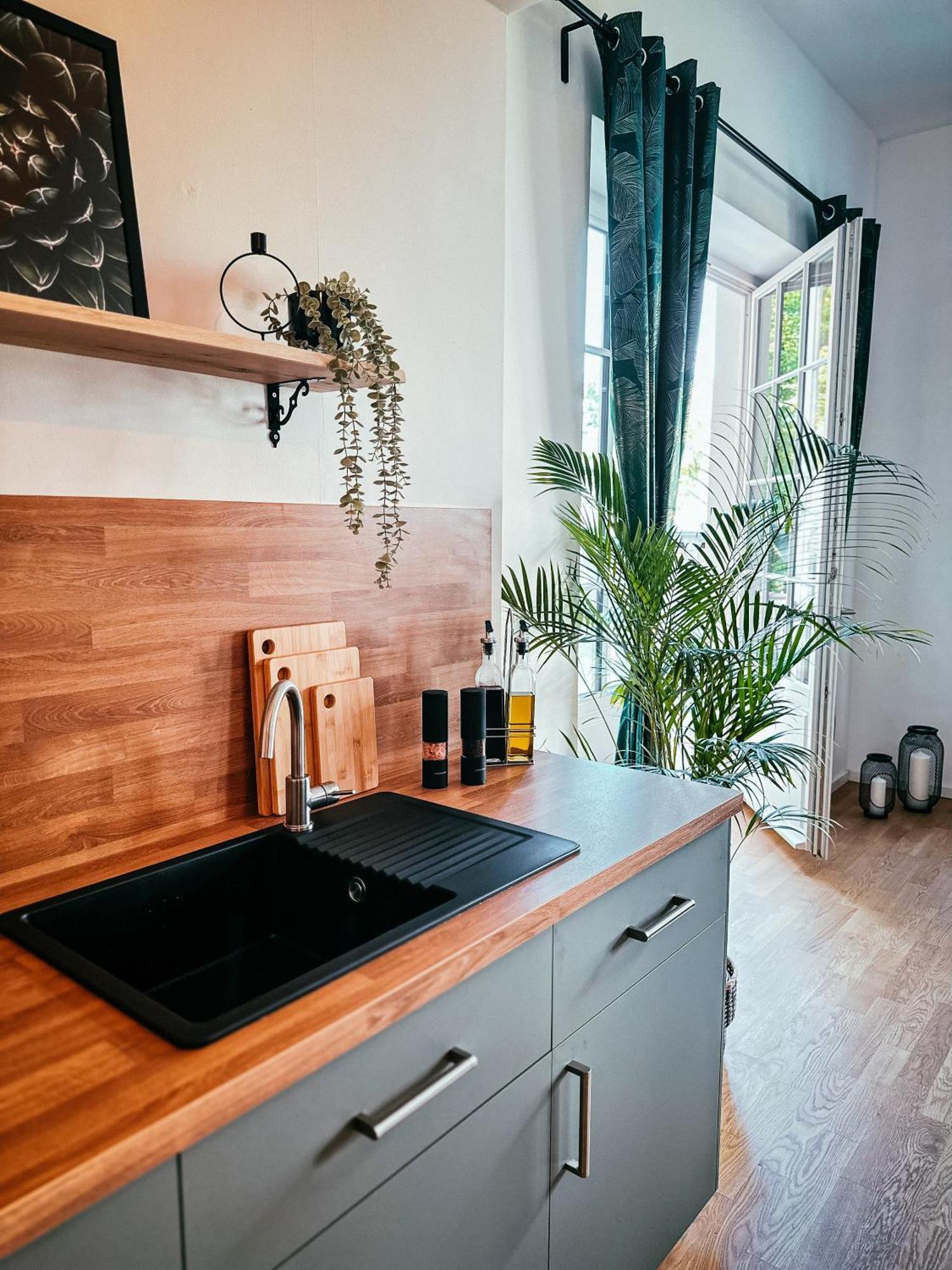 Oasis Appart - Wohnen Im Koenigspark - Elbhang Dresden - Grosse Terrasse - Netflix - Tg Extérieur photo